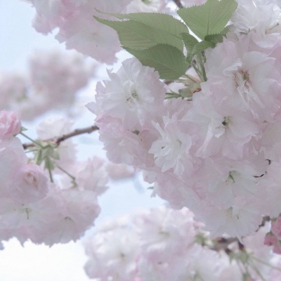 Furry插画细节设计兽圈社群